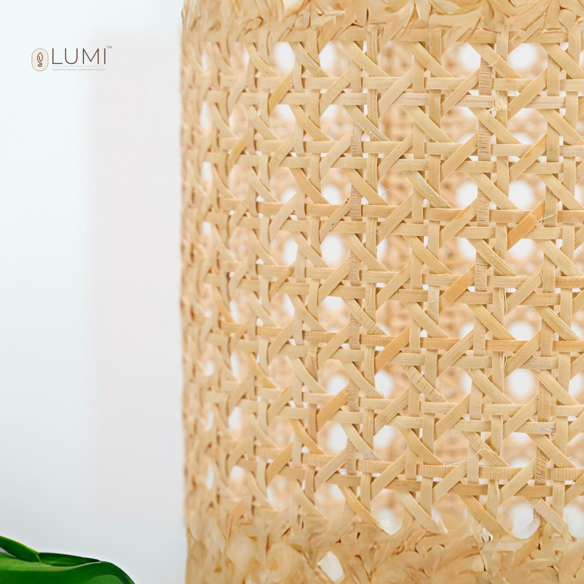 arbor-table lamp from  lumi