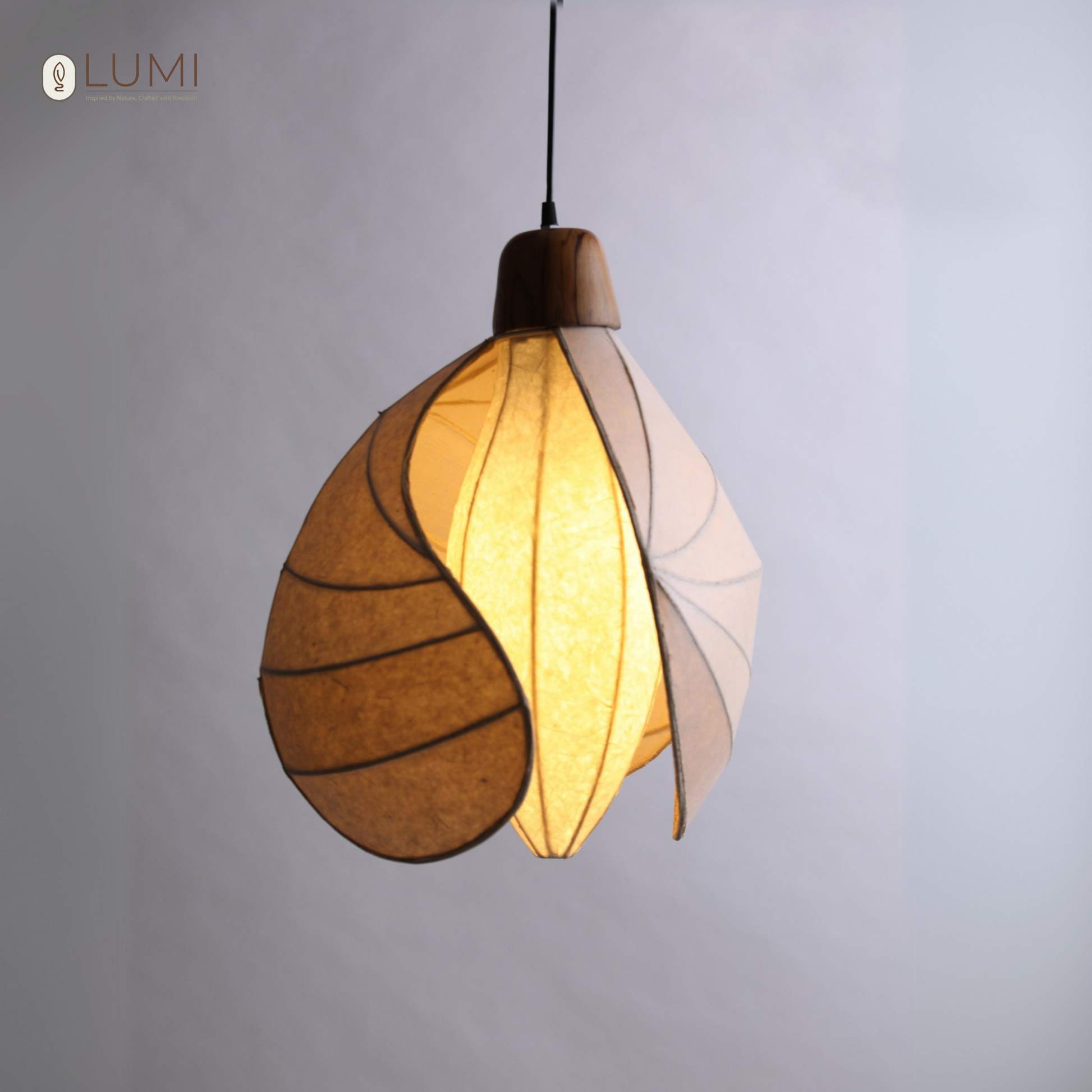 suspended-pendant-hanging-light-lumi-shop--buy